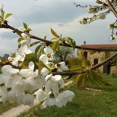 Fior Fiore 3*